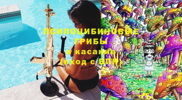 круглые Рославль